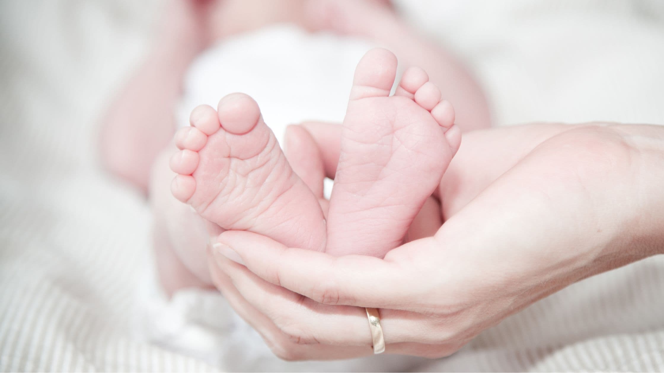 Preventing Birth Defects: Steps to a Healthy Pregnancy