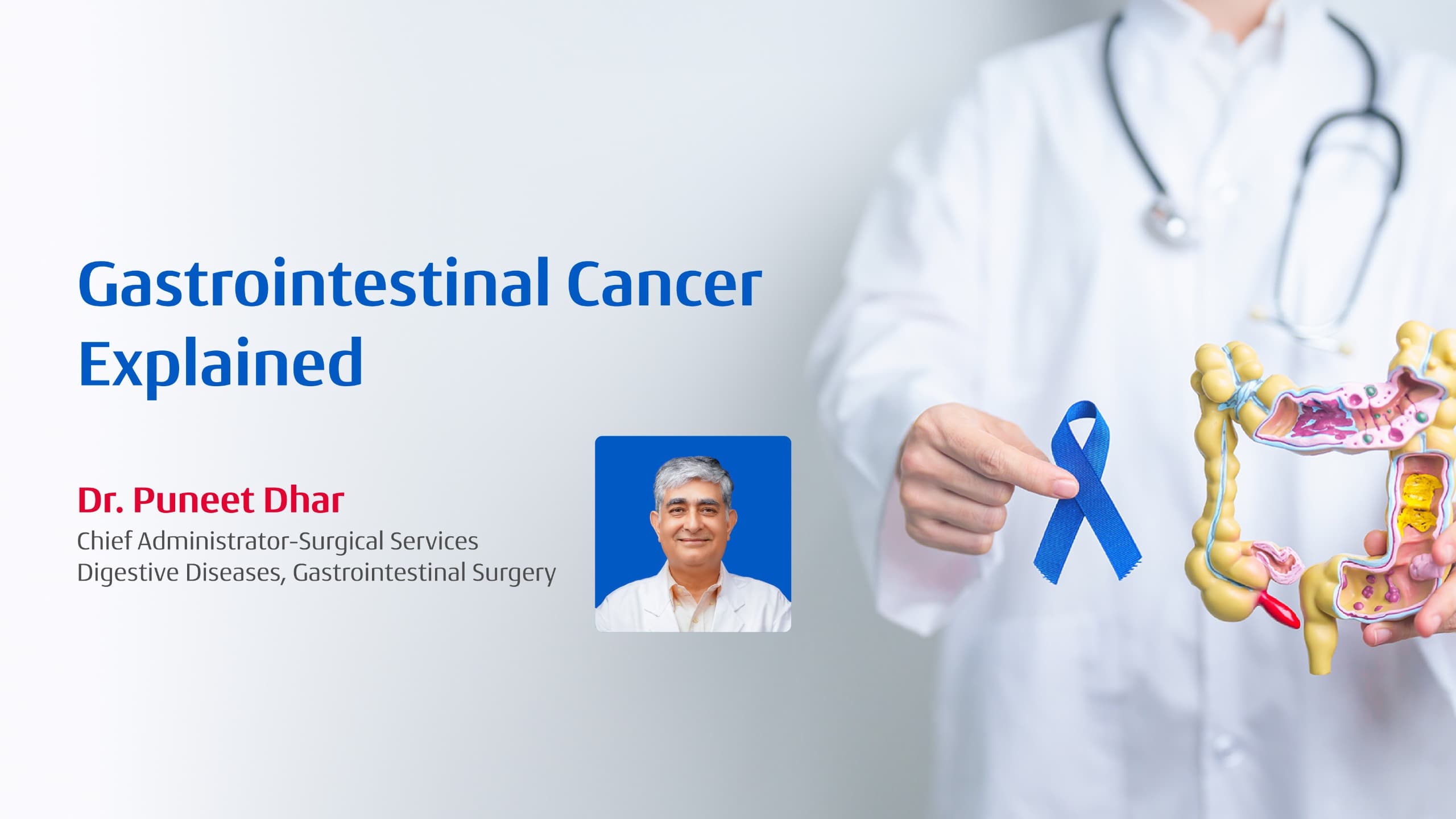 Gastrointestinal Cancer Explained